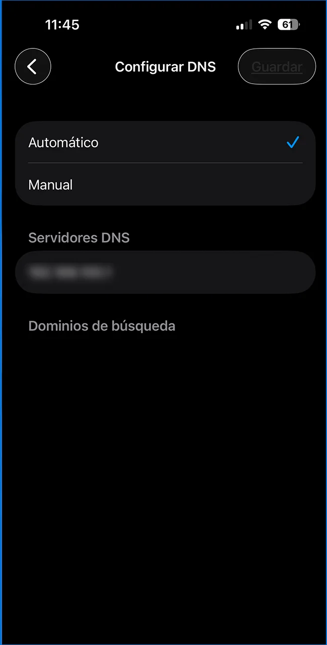 Configure los DNS en su iPhone para Stake hoy.